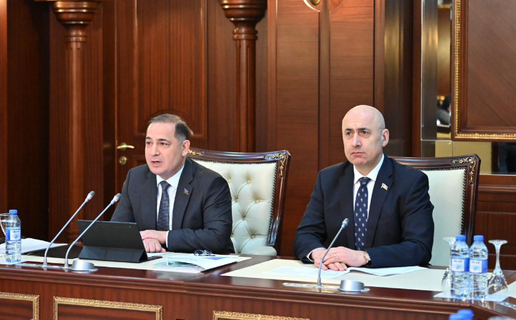 Milli Məclisin İqtisadi siyasət, sənaye və sahibkarlıq komitəsinin iclası keçirilib 