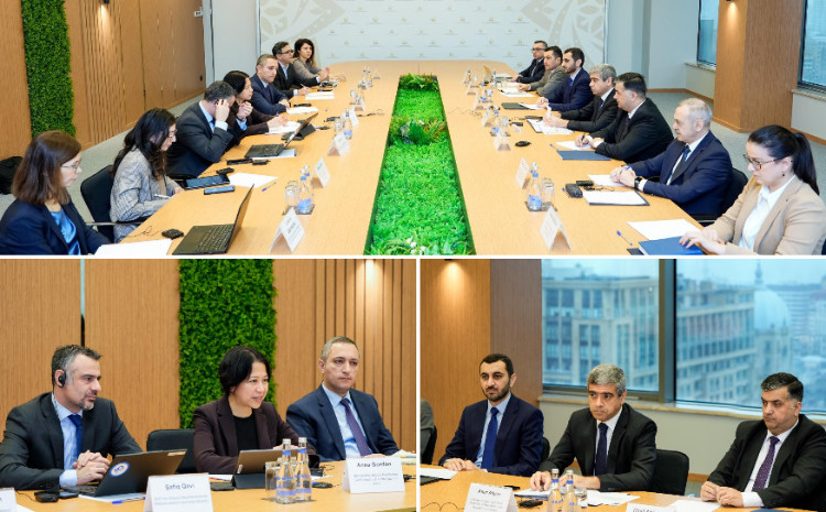 Beynəlxalq Valyuta Fondunun missiyası ilə görüşdə ölkəmizdə aparılan pensiya islahatları, əmək bazarındakı yeniliklərdən bəhs olunub 