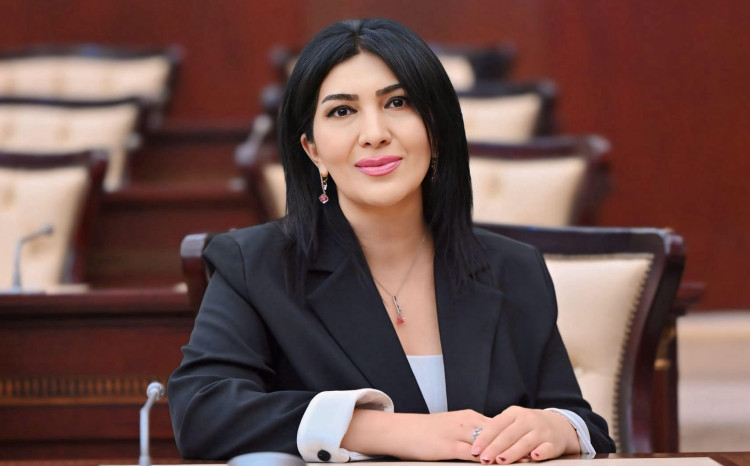 Elnarə Akimova: “Şəhər mədəniyyətin özü deməkdir” 