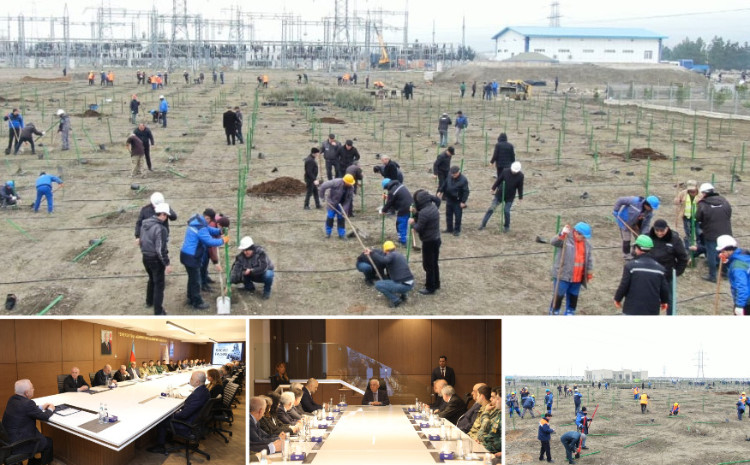 “AzərEnerji” ağacəkmə və anım tədbiri keçirib 