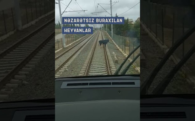 Dəmir yolu ətrafında yerləşən sıx tikililər təhlükəsizlik üçün riski artırır - VİDEO