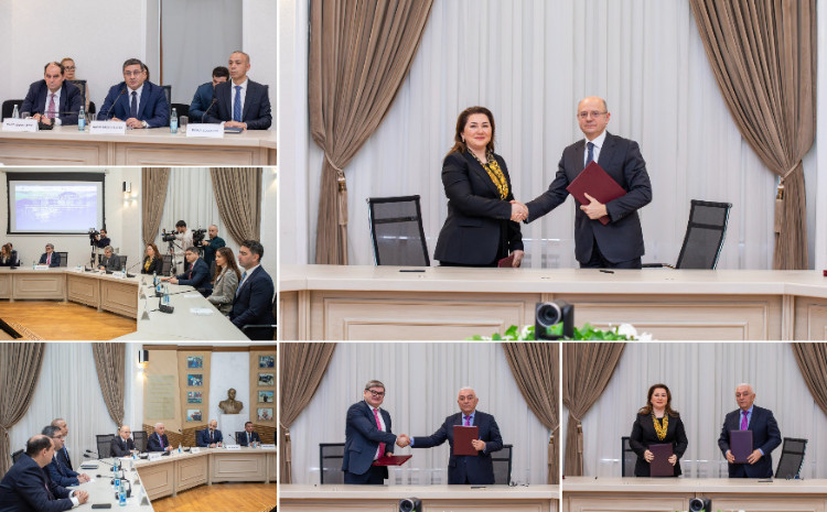 Naxçıvanda ümumi gücü 50 MVt olan günəş elektrik stansiyaları layihələri üzrə müqavilələr imzalanıb 