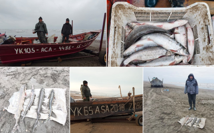 Qanunsuz balıq ovuna qarşı mübarizə tədbirləri davam etdirilir 