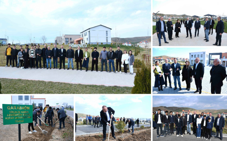 ADAU-nun təşəbbüsü ilə Cəbrayılın Horovlu kəndində 2 mindən çox ting əkilib 