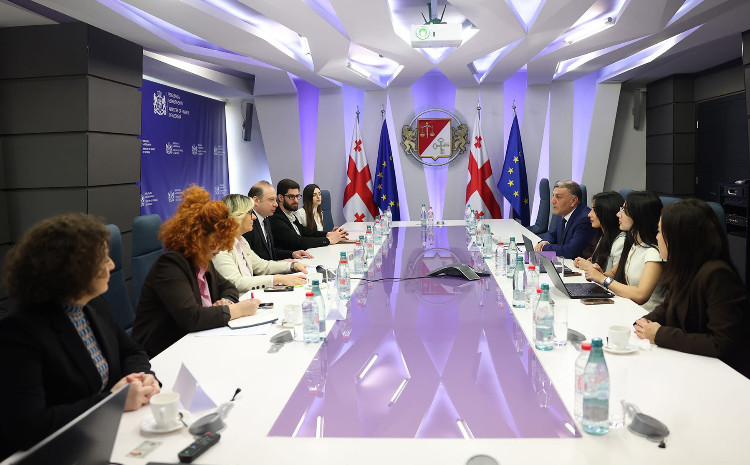Maliyyə Nazirliyinin nümayəndə heyəti Gürcüstanın maliyyə nəzarəti təcrübəsi ilə tanış olub 