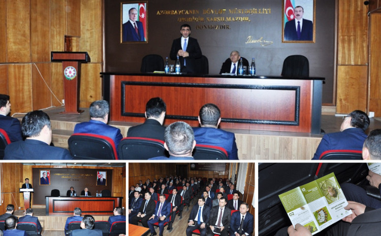 Tovuzda qəhvəyi mərmər bağacığına qarşı mübarizə işinə həsr olunmuş tədbir keçirilib 