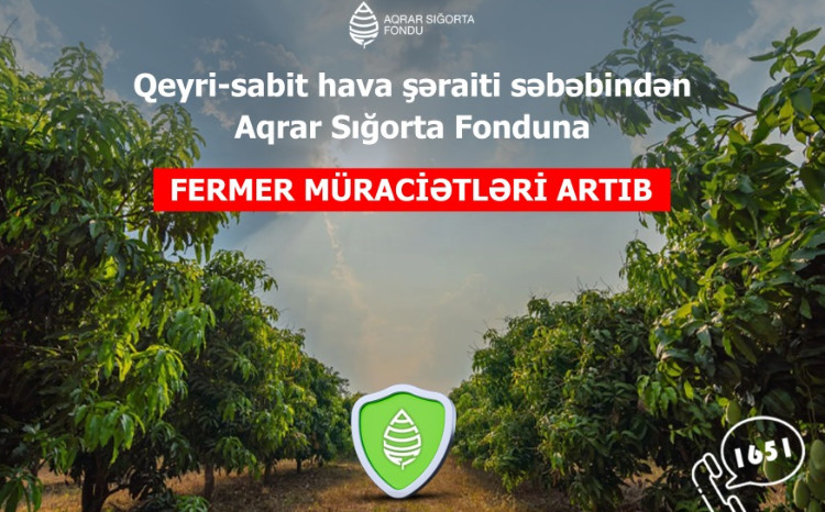 Qeyri-sabit hava şəraiti səbəbindən Aqrar Sığorta Fonduna müraciətlər artıb 