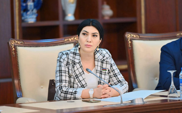Elnarə Akimova: “Rus mənşəli və imperiya dövrünü xatırladan toponimlərdən imtina etməliyik” 