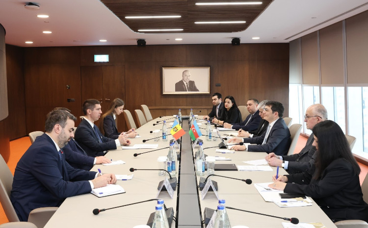 Development of economic and trade relations with Moldova explored 