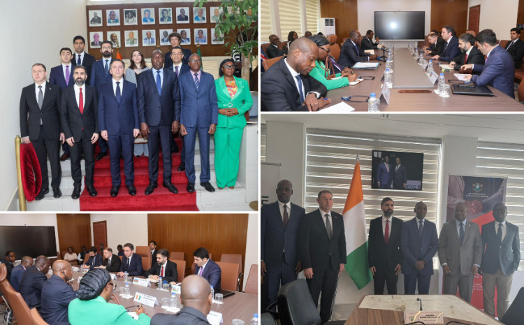 SOCAR-ın prezidenti Kot-d’İvuarda səfərdə olub 