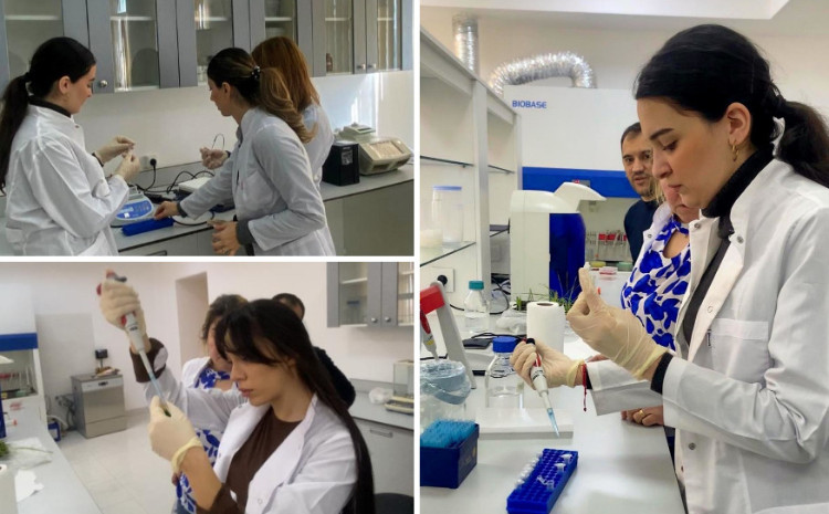 Магистранты БГУ прошли тренинг в Научно-исследовательском институте земледелия 