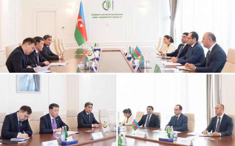 Nazir Məcnun Məmmədov Ərzaq Təhlükəsizliyi üzrə İslam Təşkilatının baş direktoru Berik Arın ilə görüşüb 