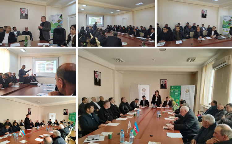 1 hektar pambıq 25 manata, 1 qoyun cəmi 7 manata sığortalanır - Zərdabda fermerlərlə görüş keçirilib 