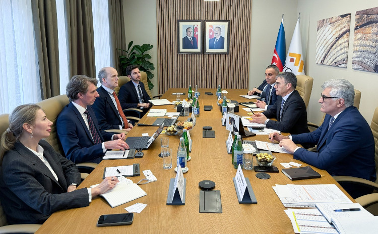 Zakir İbrahimov “Wood Mackenzie”nin vitse-prezidenti ilə görüşüb 