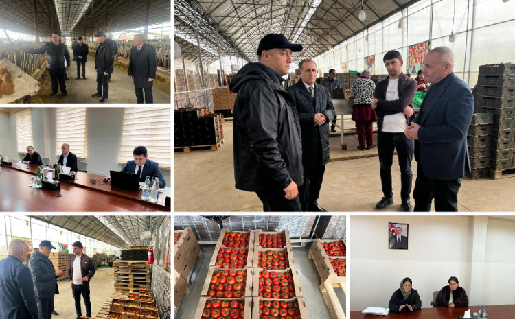 Kənd Təsərrüfatı Nazirliyinin Aparat rəhbəri Azad Cəfərli Sabirabadda vətəndaşları qəbul edib, fermerlərlə görüşüb 