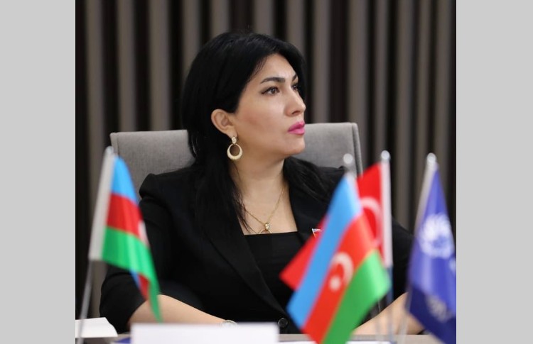 Naxçıvana zərbə - Regionda təhlükəli oyunun başlanğıcıdır 