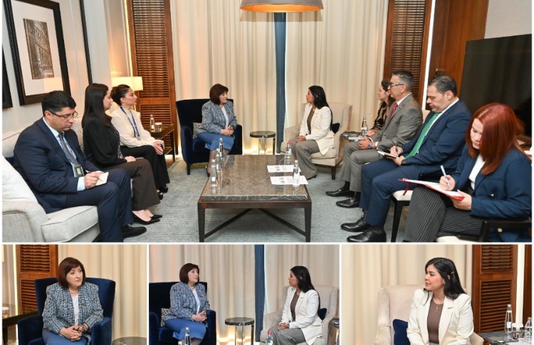 Спикер Милли Меджлиса Сагиба Гафарова встретилась с вице-спикером Парламента Венесуэлы 