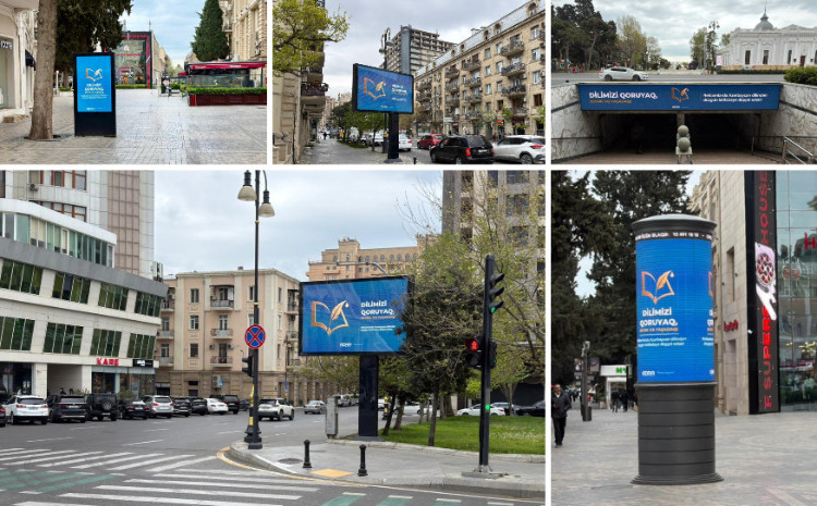 Dilimizi qoruyaq, sevək və yaşadaq! 