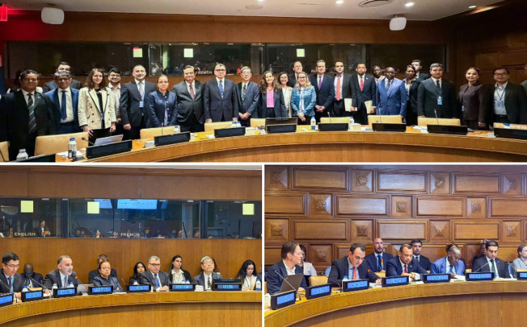 “ASAN xidmət” BMT-nin Ekspertlər Komitəsinin sessiyasında müzakirəyə çıxarıldı 