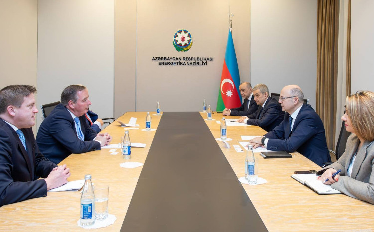 Energetika naziri İrlandiya parlament nümayəndə heyəti ilə görüşüb 