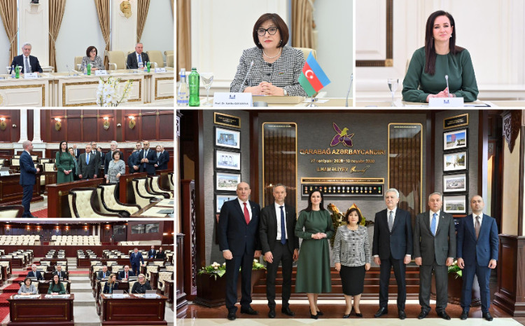 Milli Məclisin sədri Sahibə Qafarova Litvanın Baş naziri ilə görüşüb 