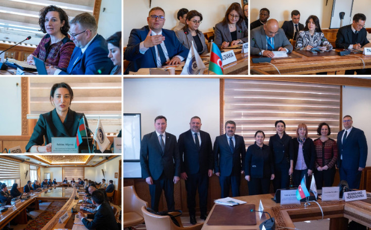 The Ombudsman participated in the event on the “Role of NHRIs in Promoting and Protecting Human Rights in the Digital Space” held within the GANHRI Annual Meeting 