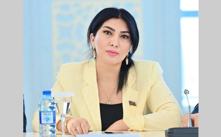 Azərbaycan-Ukrayna münasibətlərinin siyasi çəkisi 