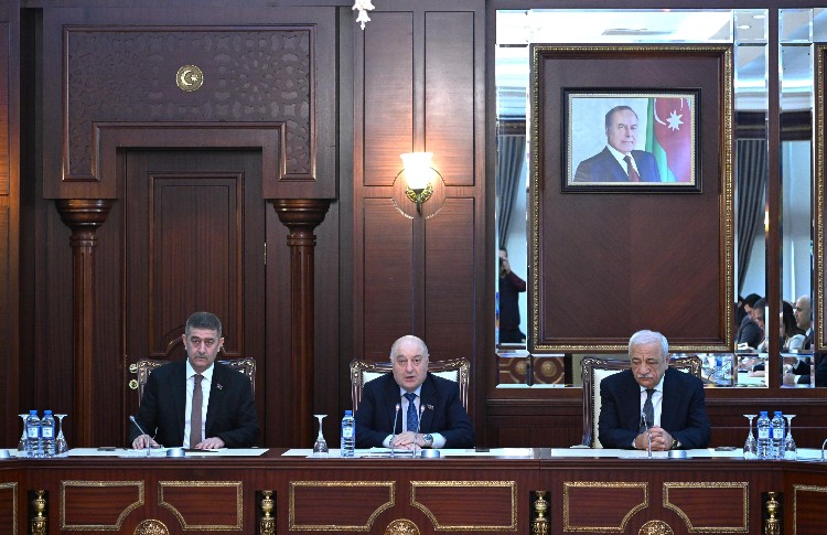 Milli Məclisin Əmək və sosial siyasət komitəsinin iclası keçirilib 