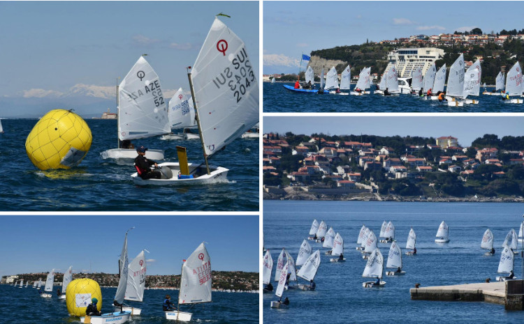 Azərbaycan Su İdman Növləri Federasiyasının idmançıları Sloveniyada mübarizəni davam etdirir 