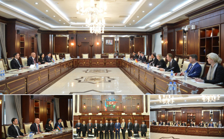 Almaniya Federativ Respublikası Bundestaqının nümayəndə heyəti  Milli Məclisdə olub 