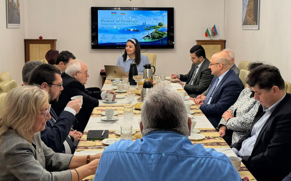 Embassy Convenes Academicians and Experts for Discussion on Energy Security and Green Transition 
