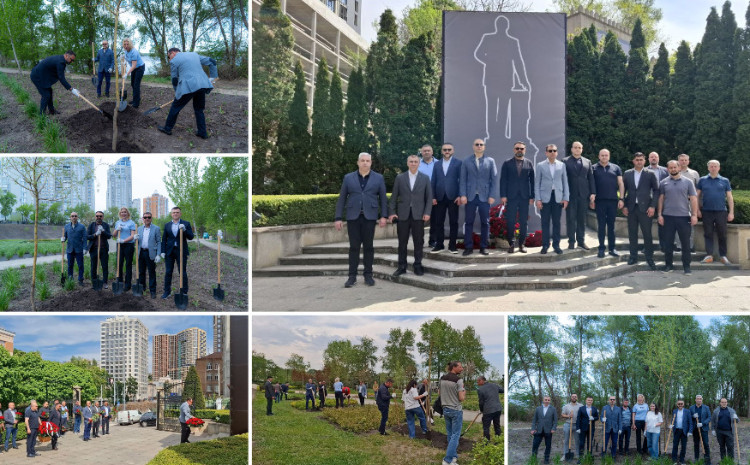 Kyivdə “Dostluq Xiyabanı”nda ağacəkmə aksiyası keçirildi 