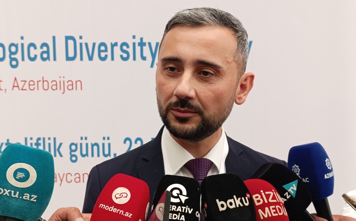 Balıqçılıq və Akvakultura Mərkəzi nadir növlərin qorunması üçün yeni kampaniyaya başlayıb 