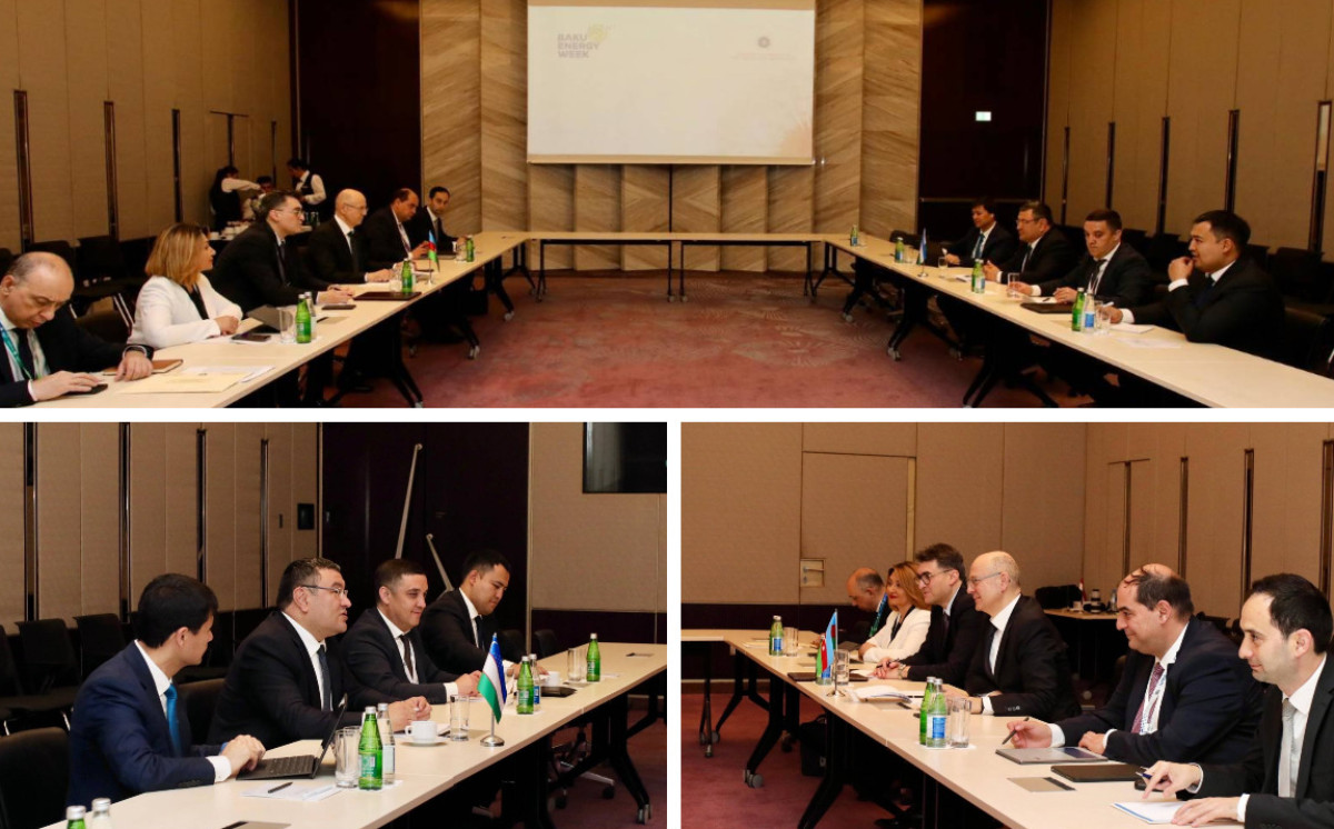 Meeting was held between Azerbaijan and Uzbekistan Energy Ministers 