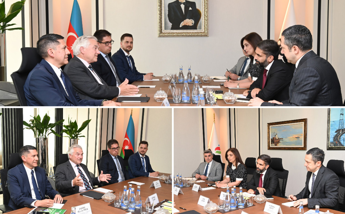 SOCAR-ın prezidenti “Gran Tierra Energy Inc.” şirkətinin prezidenti və baş icraçı direktoru ilə görüşüb 