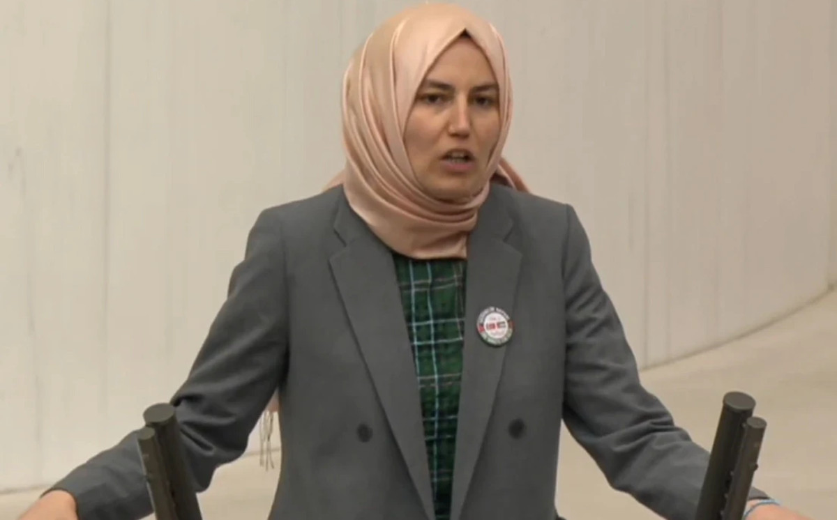 Türkiyəli deputat AŞPA-da Azərbaycanı müdafiə edib 