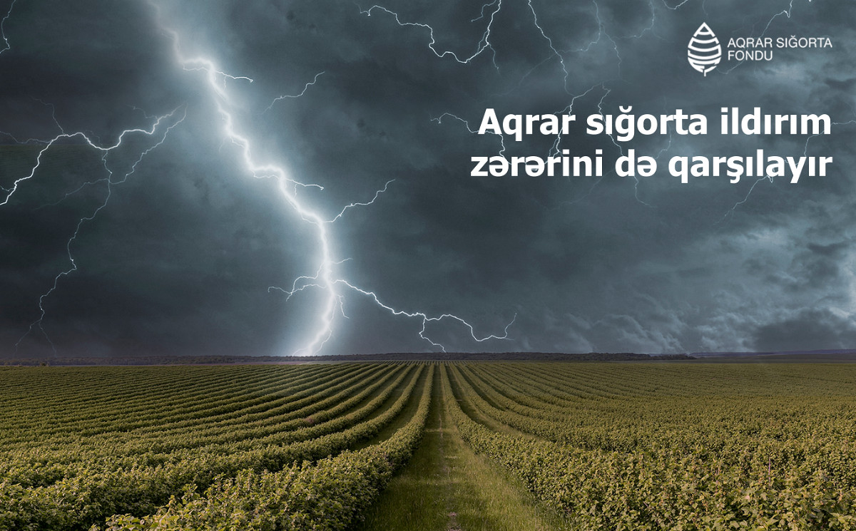 Aqrar sığorta ildırım nəticəsində yaranan zərərləri də qarşılayır 