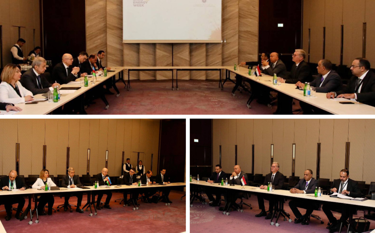 Development of Azerbaijan - Egypt energy cooperation was discussed 