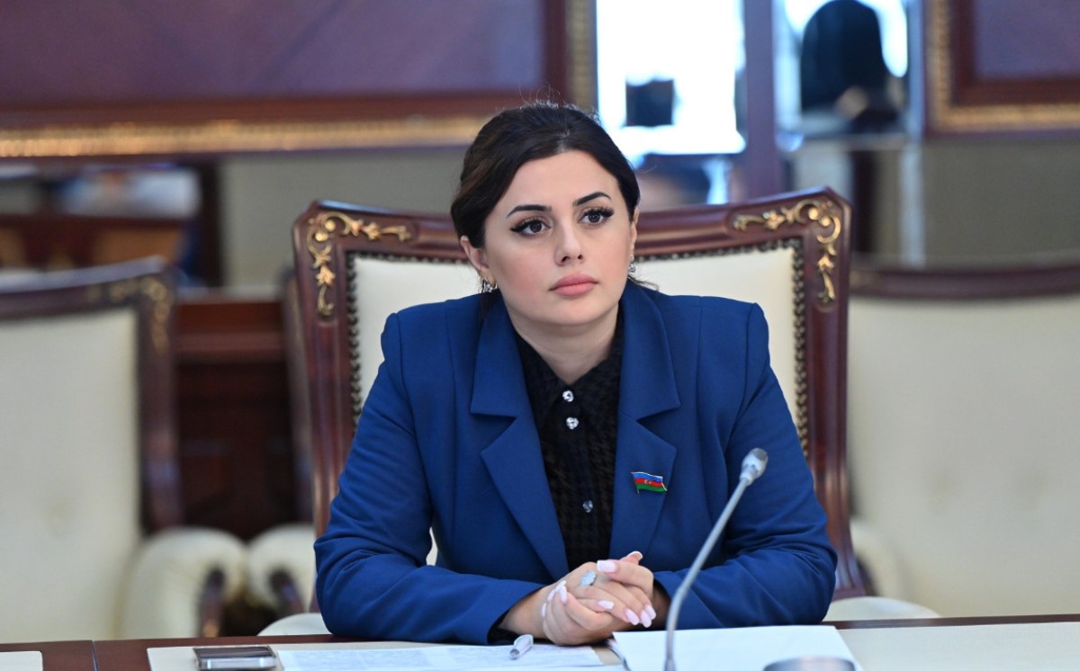 Deputat: Milli mətbuat Azərbaycan dövlətçiliyinin və milli maraqların etibarlı dayağıdır 