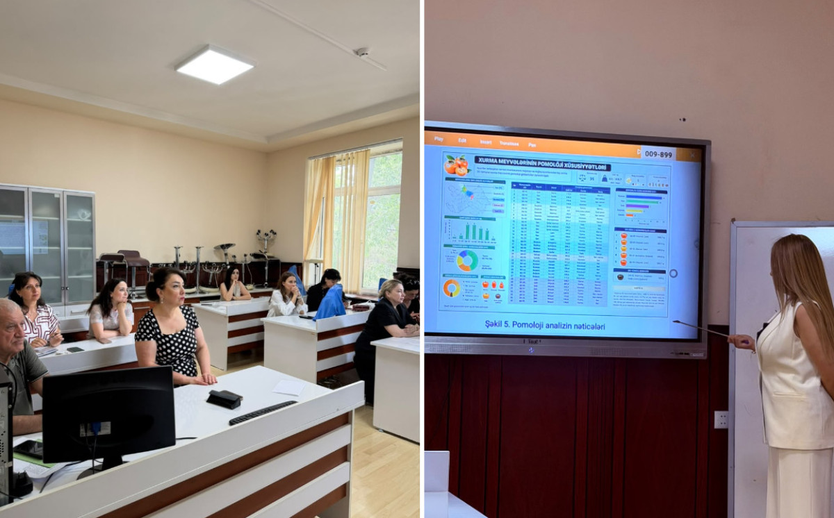 В Бакинском государственном университете проводятся исследования биохимических и молекулярно-генетических особенностей генотипов хурмы 